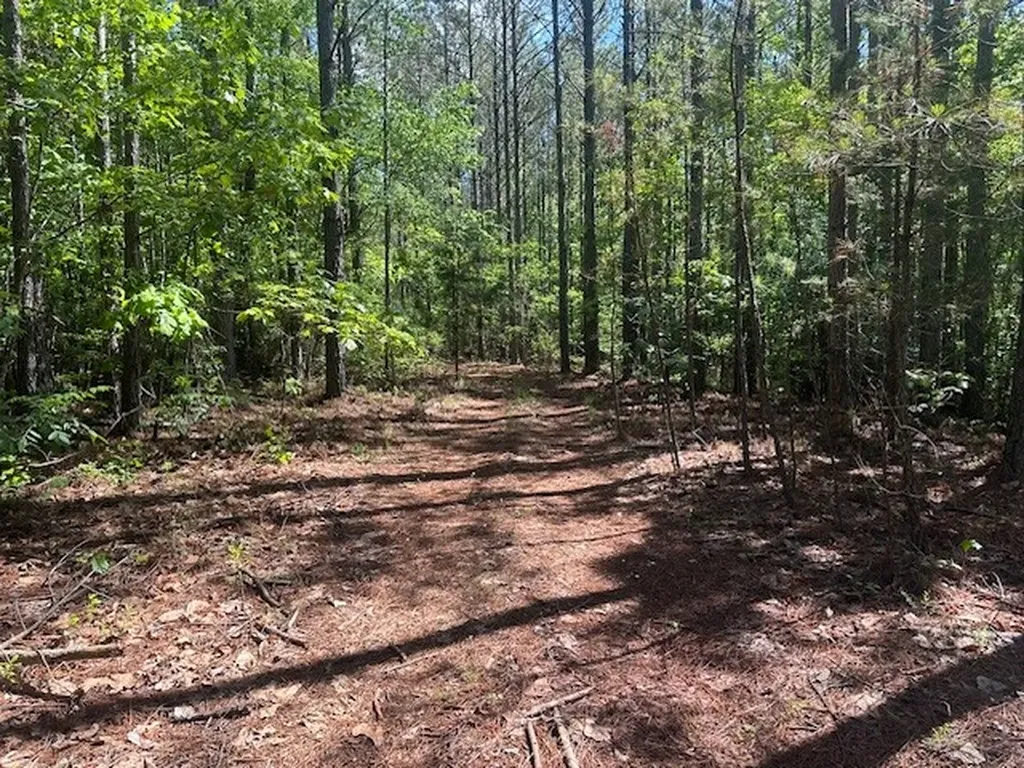 0 Hwy 11, Tract 1 Red Bay AL 35882