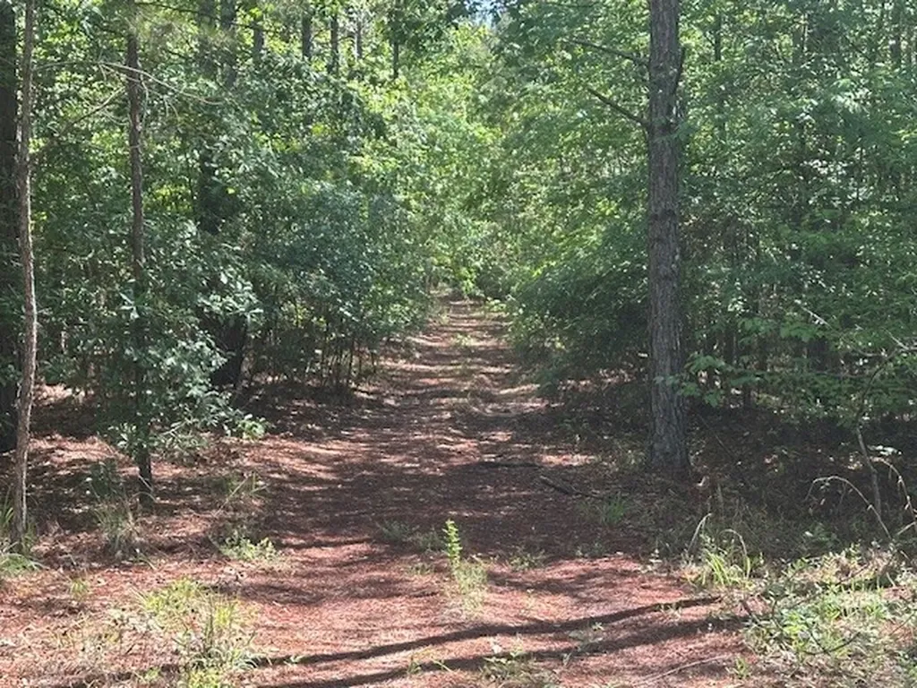 0 Hwy 11, Tract 1 Red Bay AL 35882