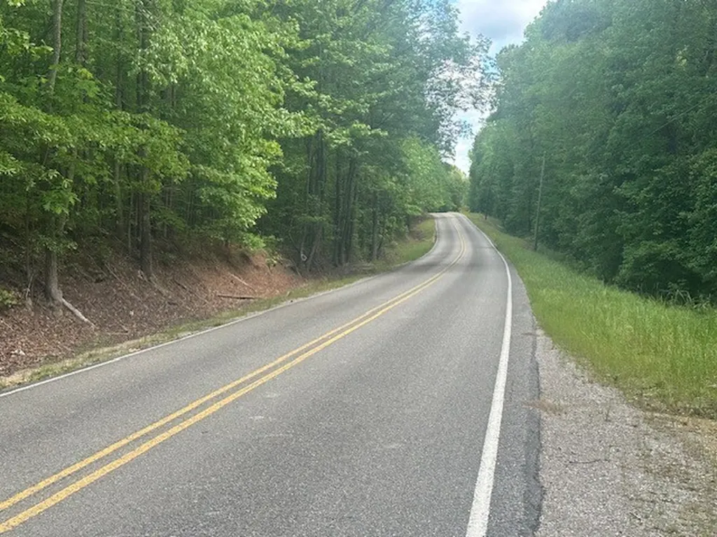 0 Hwy 11, Tract 1 Red Bay AL 35882