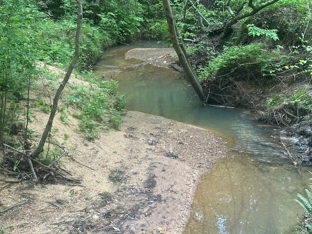 0 Hwy 11, Tract 1 Red Bay AL 35882