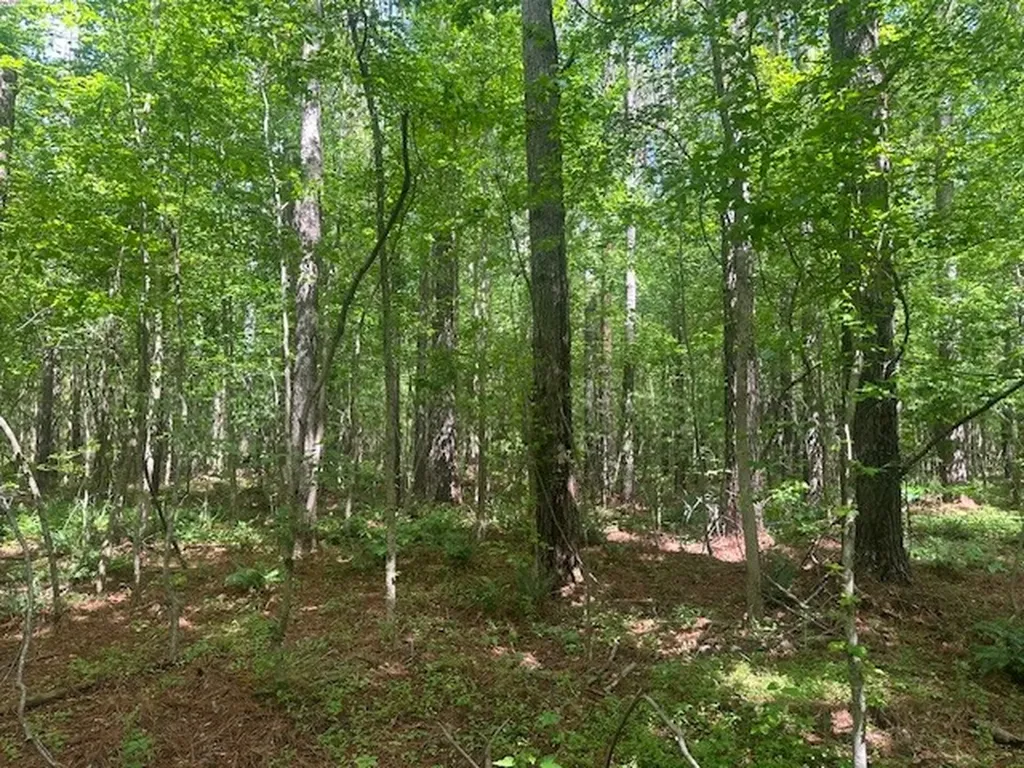 0 Hwy 11, Tract 1 Red Bay AL 35882