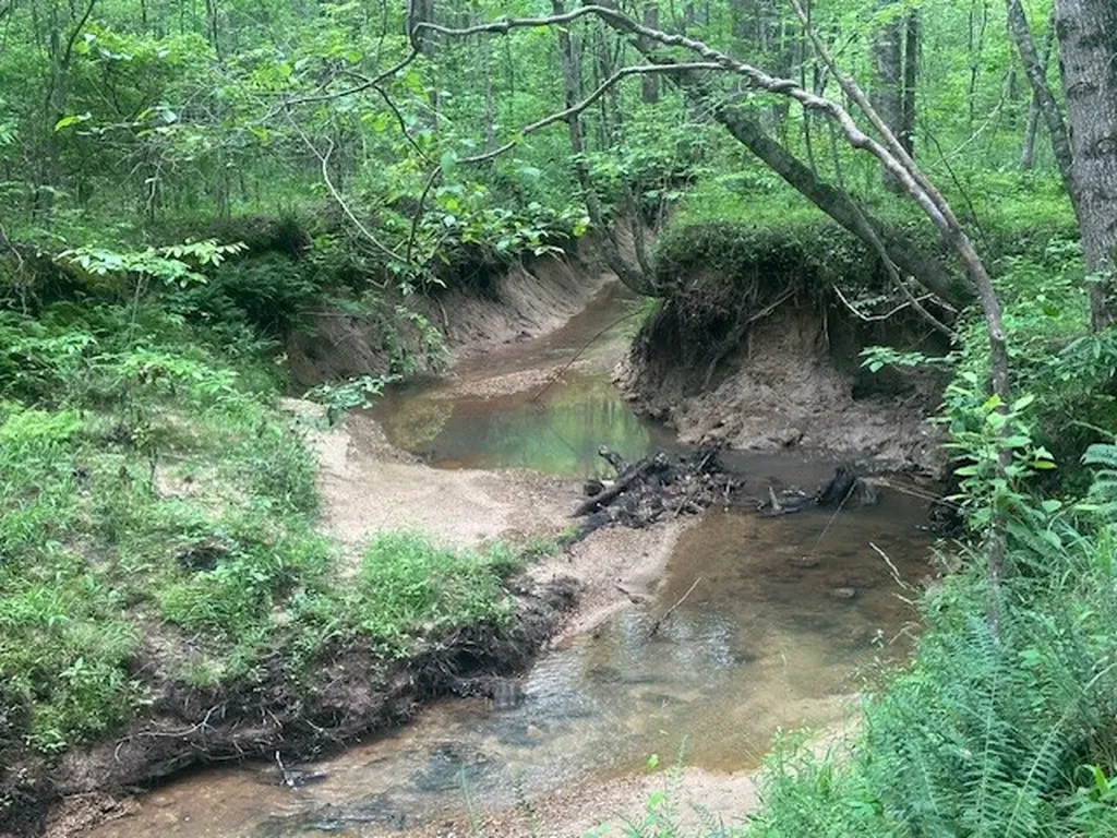 0 Hwy 11, Tract 1 Red Bay AL 35882