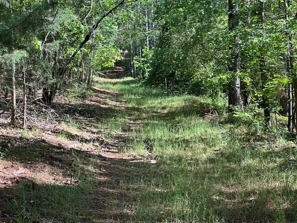 0 Hwy 11, Tract 1 Red Bay AL 35882