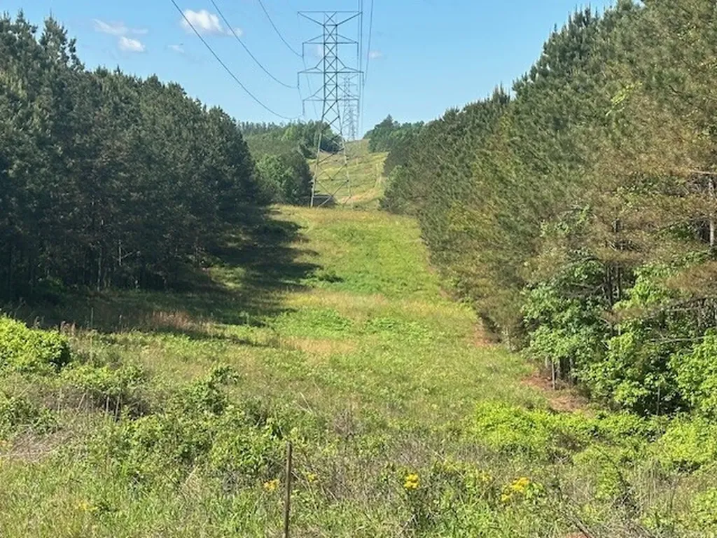 0 Hwy 11, Tract 1 Red Bay AL 35882