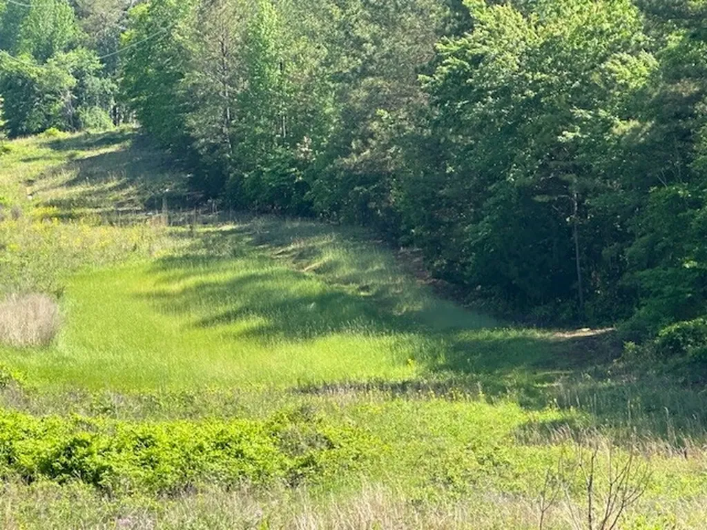 0 Hwy 11, Tract 1 Red Bay AL 35882
