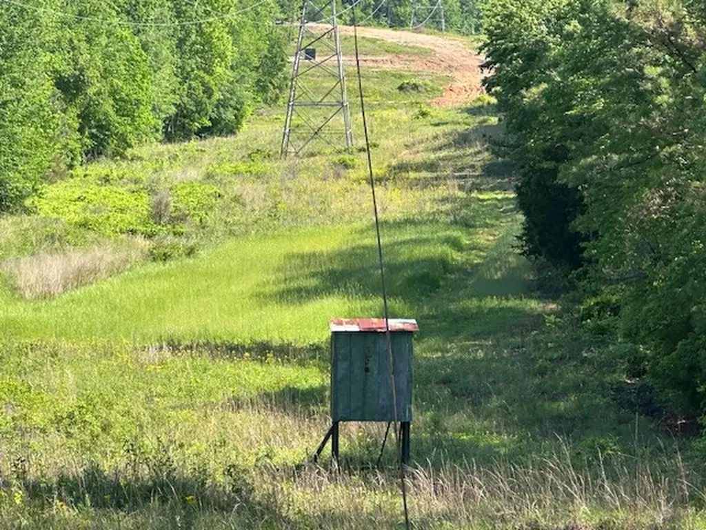 0 Hwy 11, Tract 1 Red Bay AL 35882