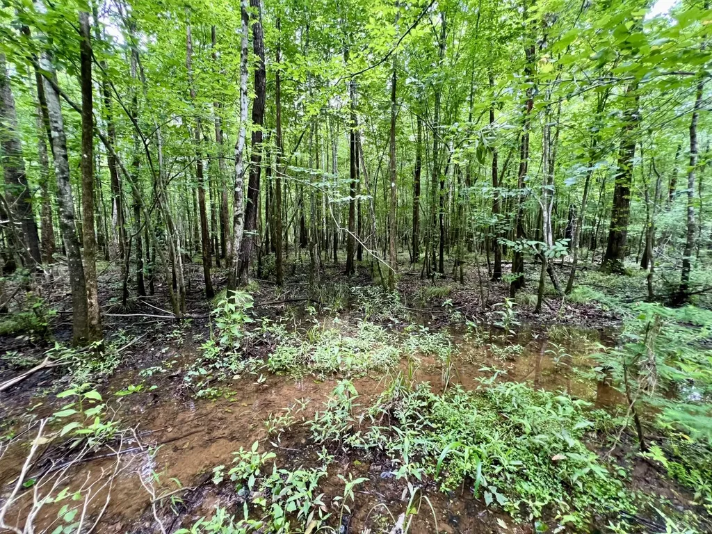 0 White Branch Trail Whatley AL 36482