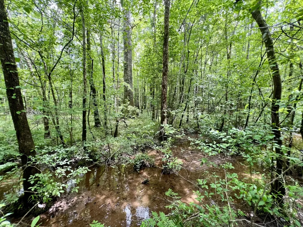 0 White Branch Trail Whatley AL 36482