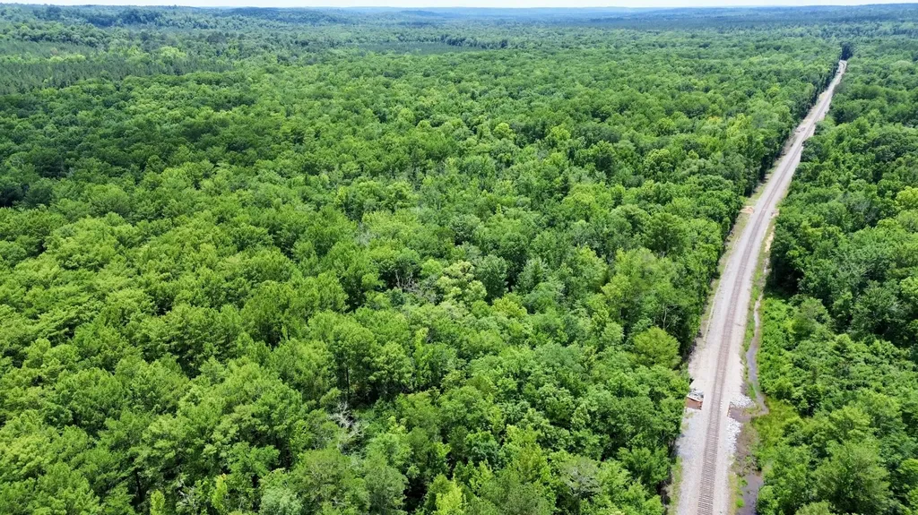 0 White Branch Trail Whatley AL 36482