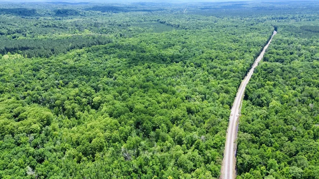 0 White Branch Trail Whatley AL 36482