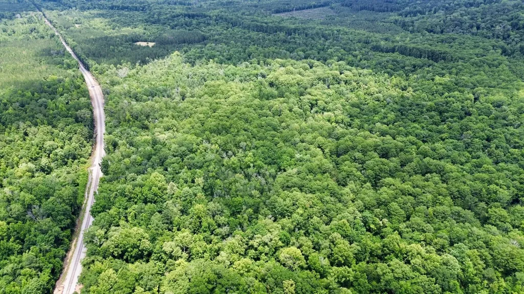 0 White Branch Trail Whatley AL 36482