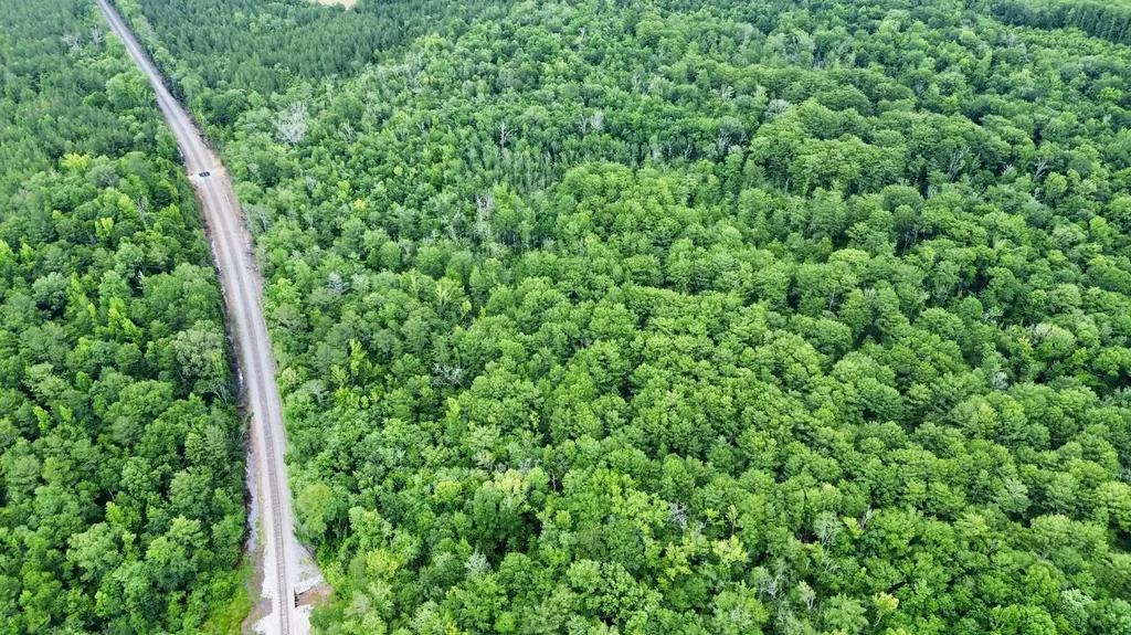 0 White Branch Trail Whatley AL 36482