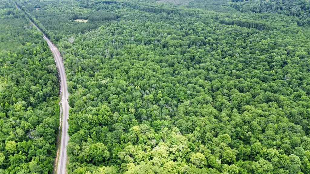 0 White Branch Trail Whatley AL 36482