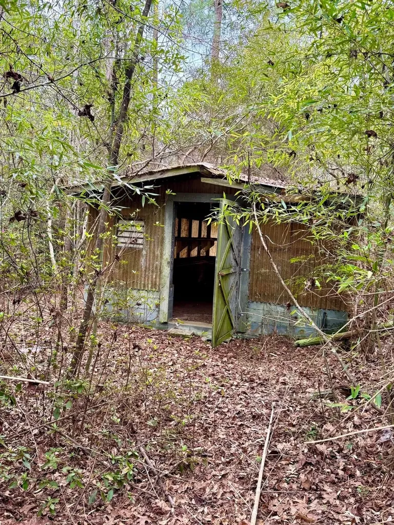 0 Dogwood Drive Jackson AL 36545