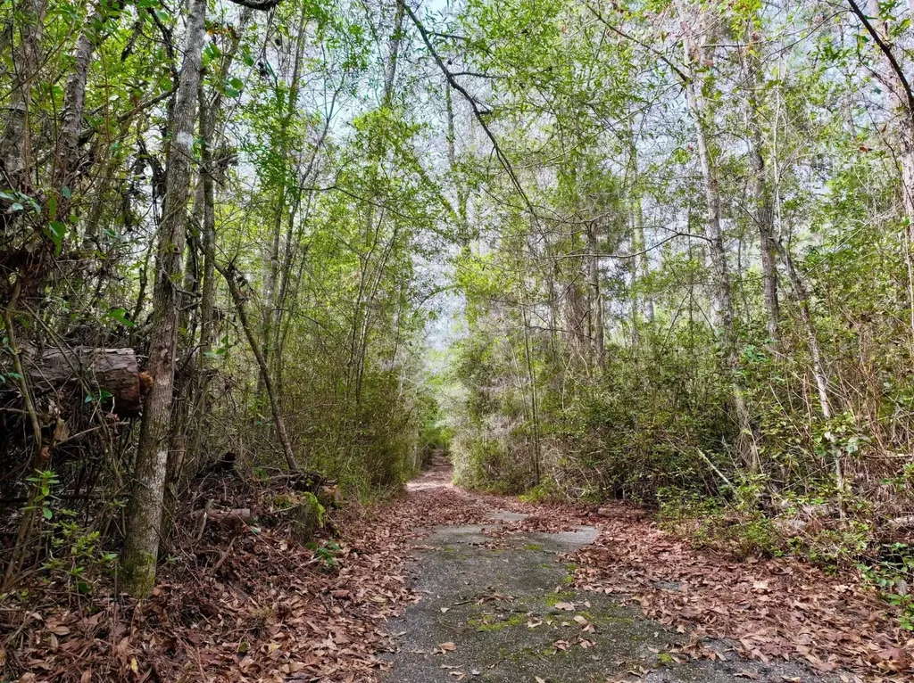 0 Dogwood Drive Jackson AL 36545