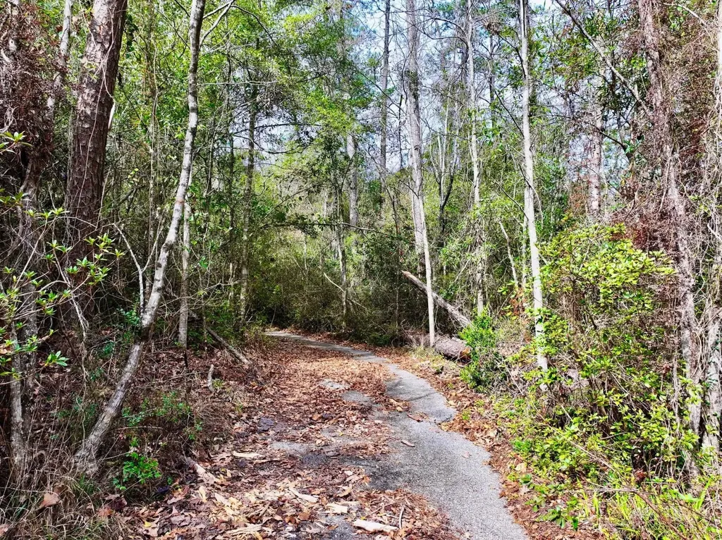 0 Dogwood Drive Jackson AL 36545