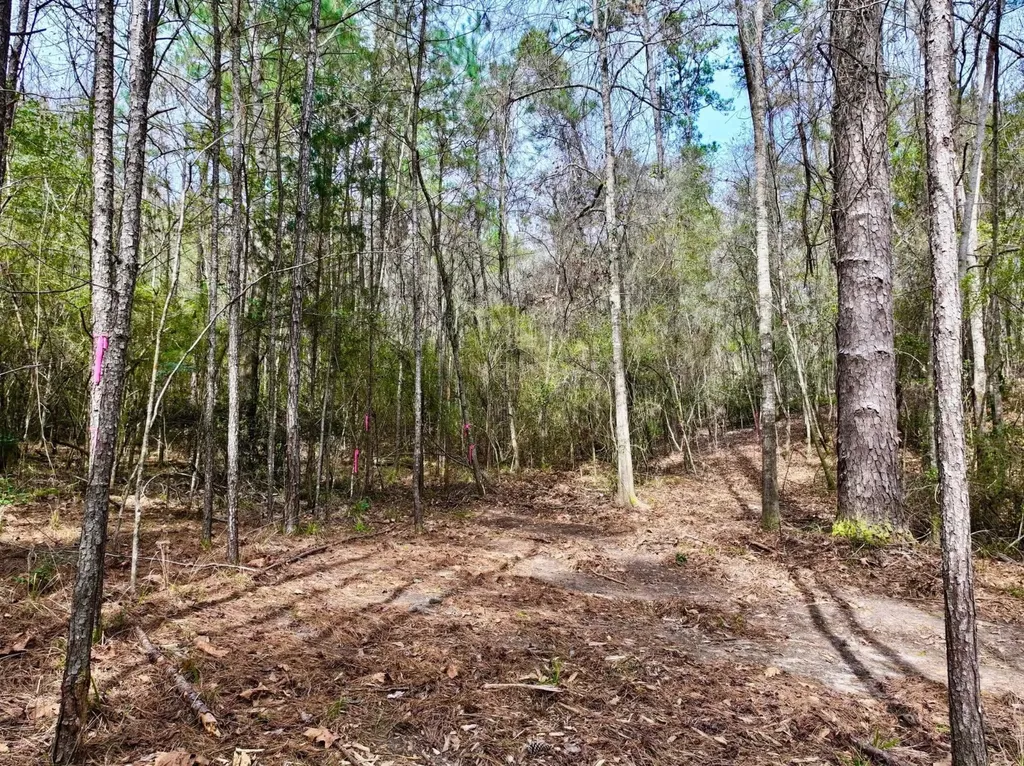 0 Dogwood Drive Jackson AL 36545