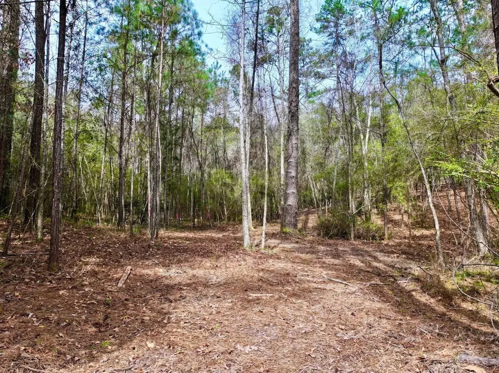 0 Dogwood Drive Jackson AL 36545