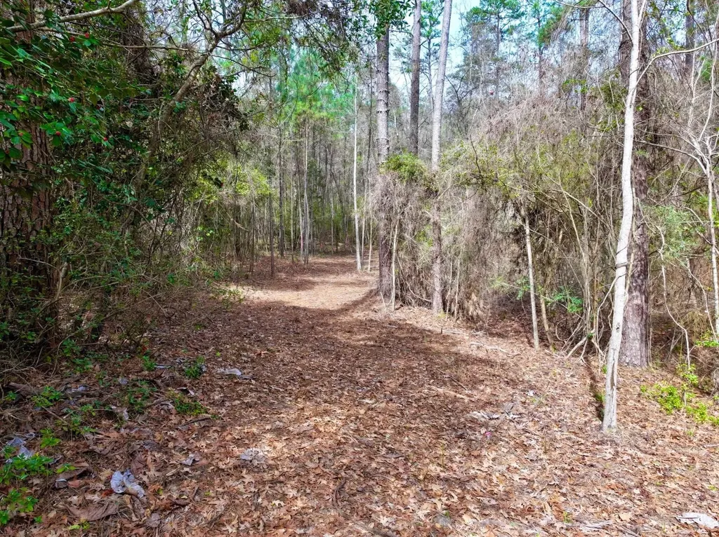 0 Dogwood Drive Jackson AL 36545