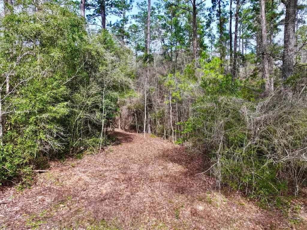 0 Dogwood Drive Jackson AL 36545