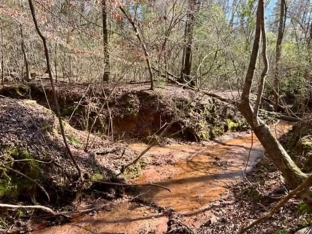 0 Dogwood Drive Jackson AL 36545