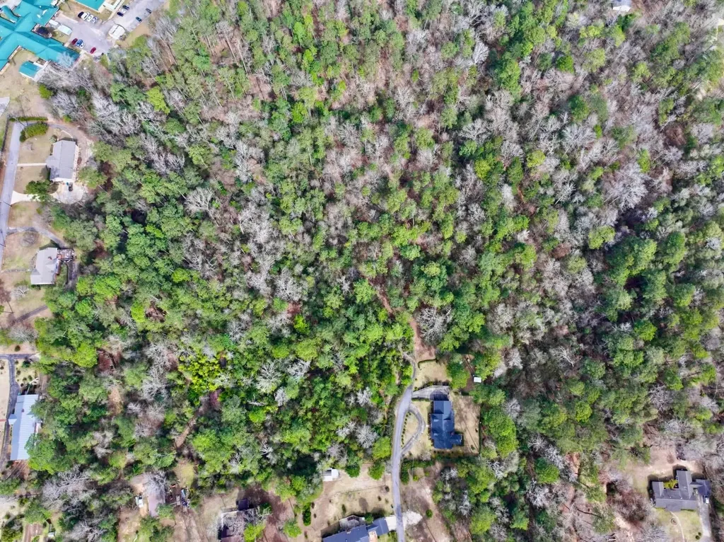 0 Dogwood Drive Jackson AL 36545