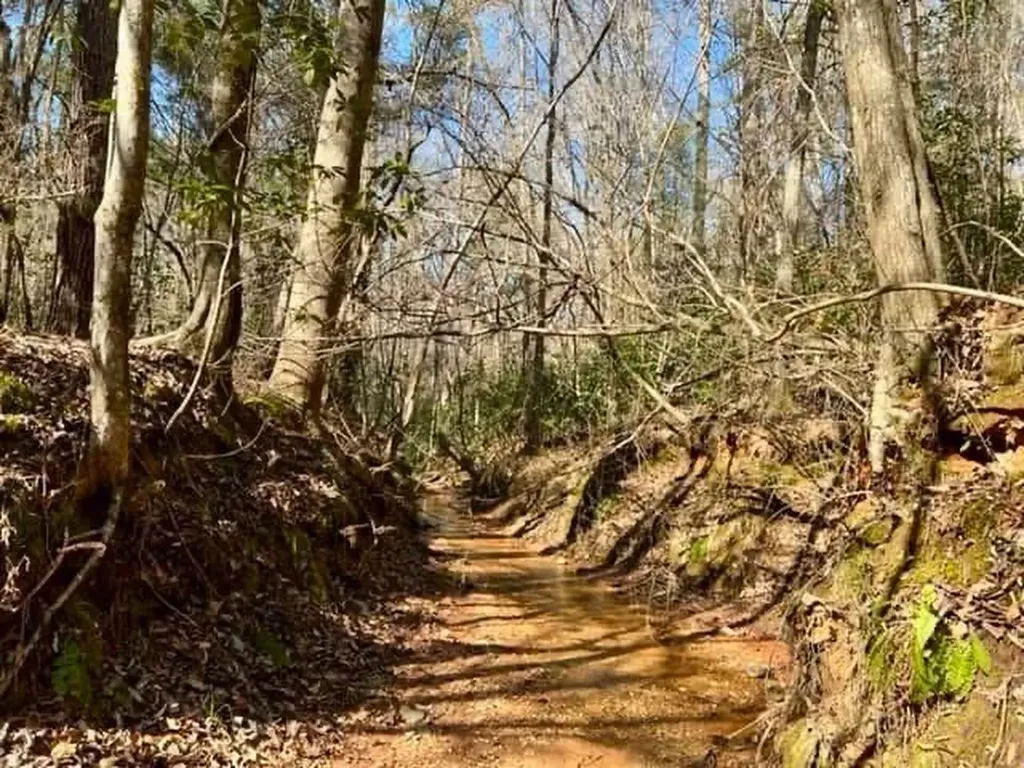 0 Dogwood Drive Jackson AL 36545