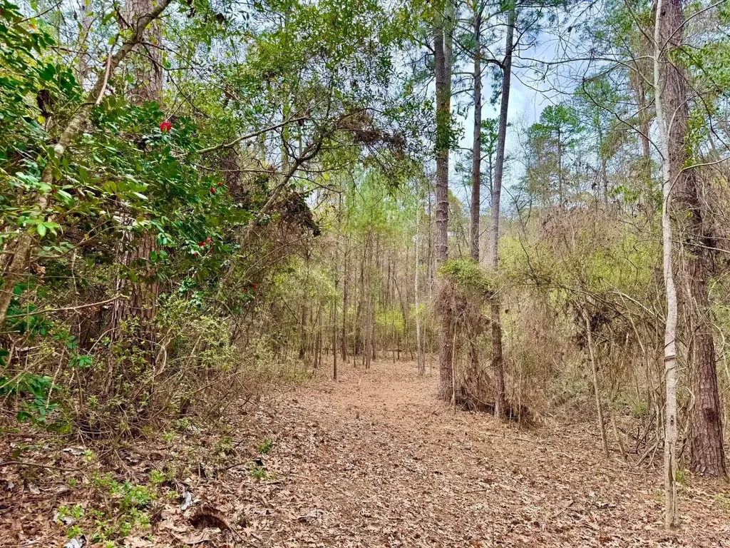 0 Dogwood Drive Jackson AL 36545