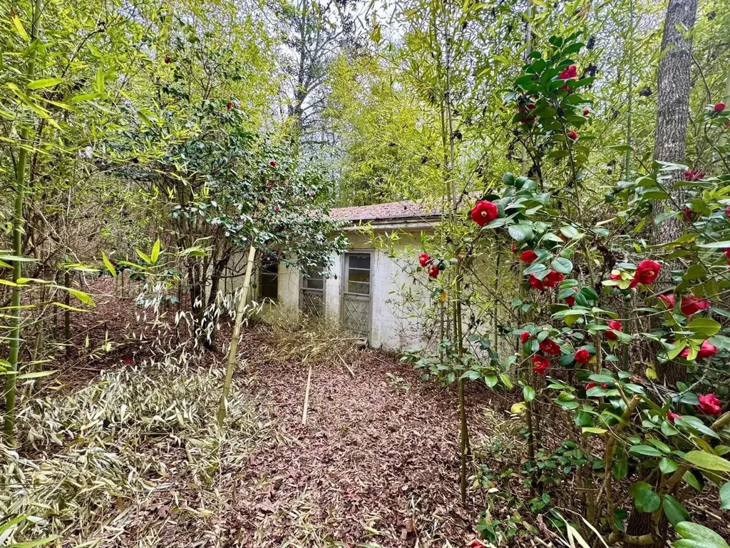 0 Dogwood Drive Jackson AL 36545