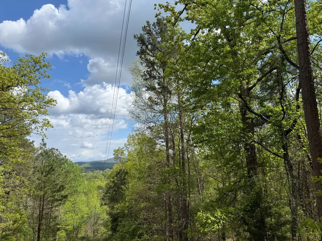 0 High Plateau Drive Jacksonville AL 36265