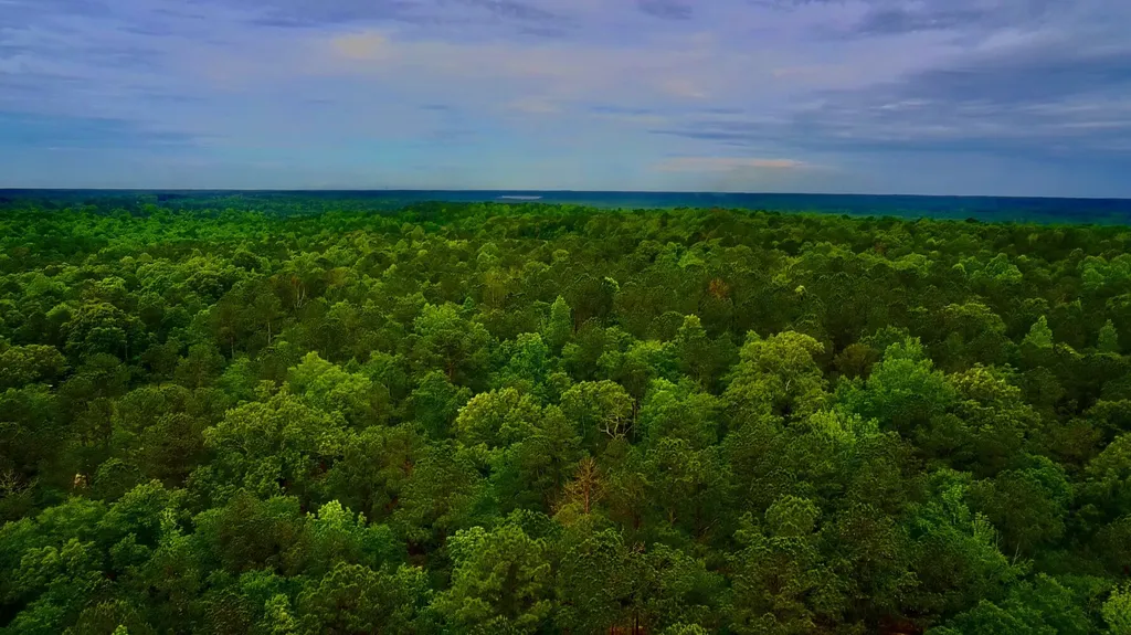 0 Highway Rose Hill Dozier AL 36028