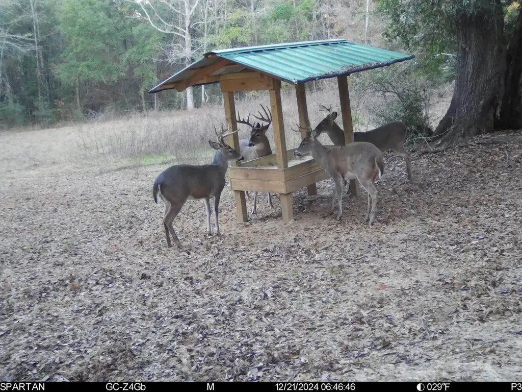 0 Highway Rose Hill Dozier AL 36028