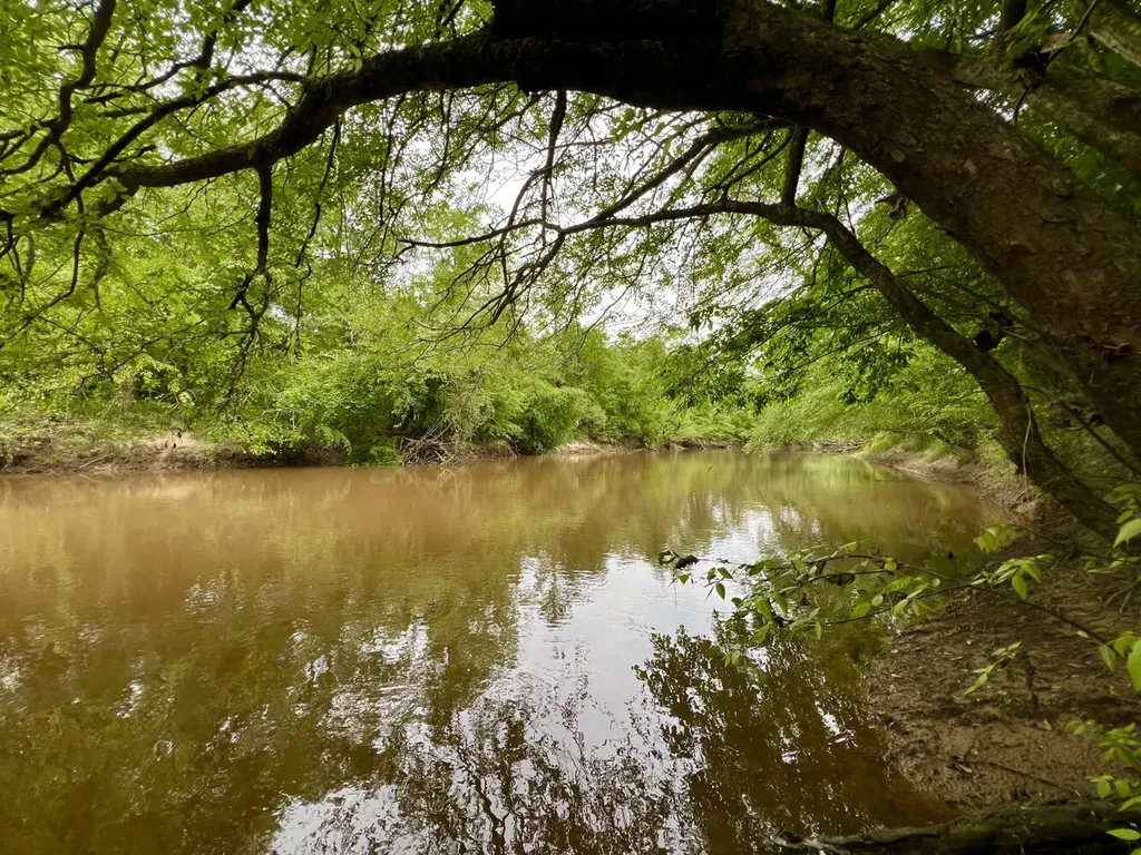 0 Highway Rose Hill Dozier AL 36028