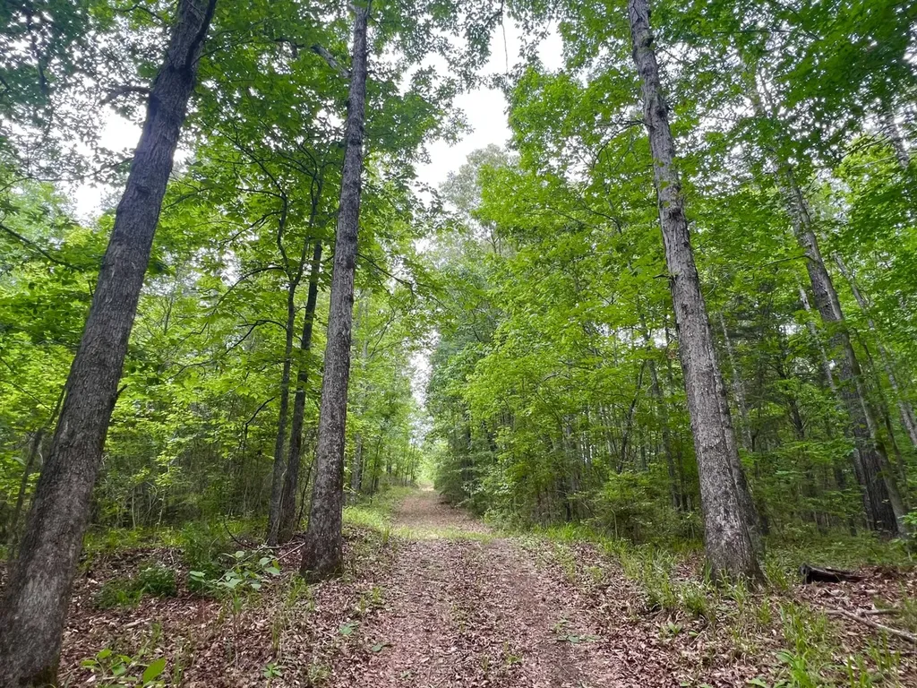 0 Highway Rose Hill Dozier AL 36028