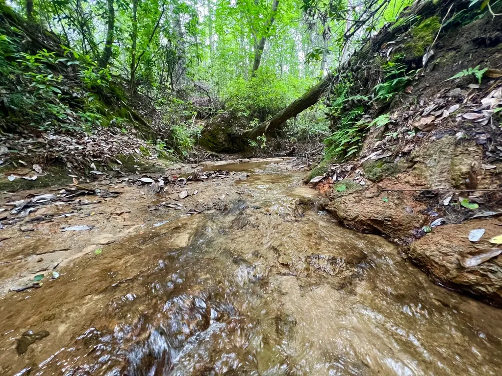 0 Highway Rose Hill Dozier AL 36028