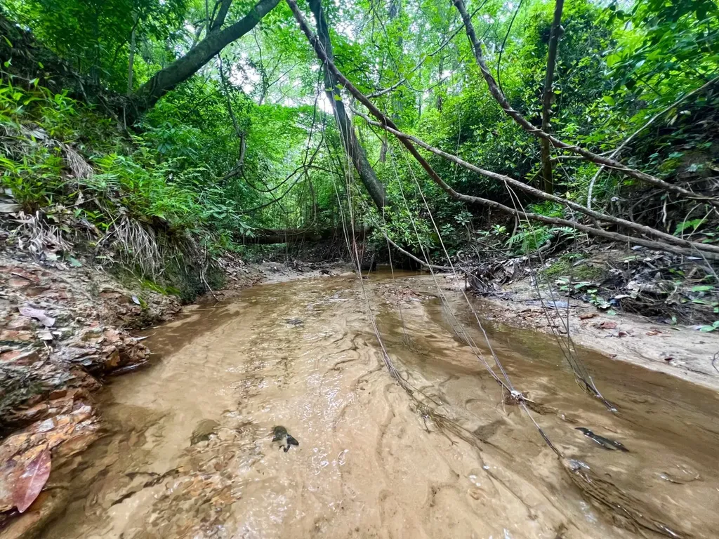 0 Highway Rose Hill Dozier AL 36028