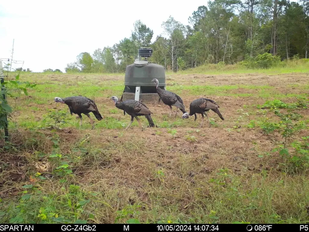 0 Highway Rose Hill Dozier AL 36028