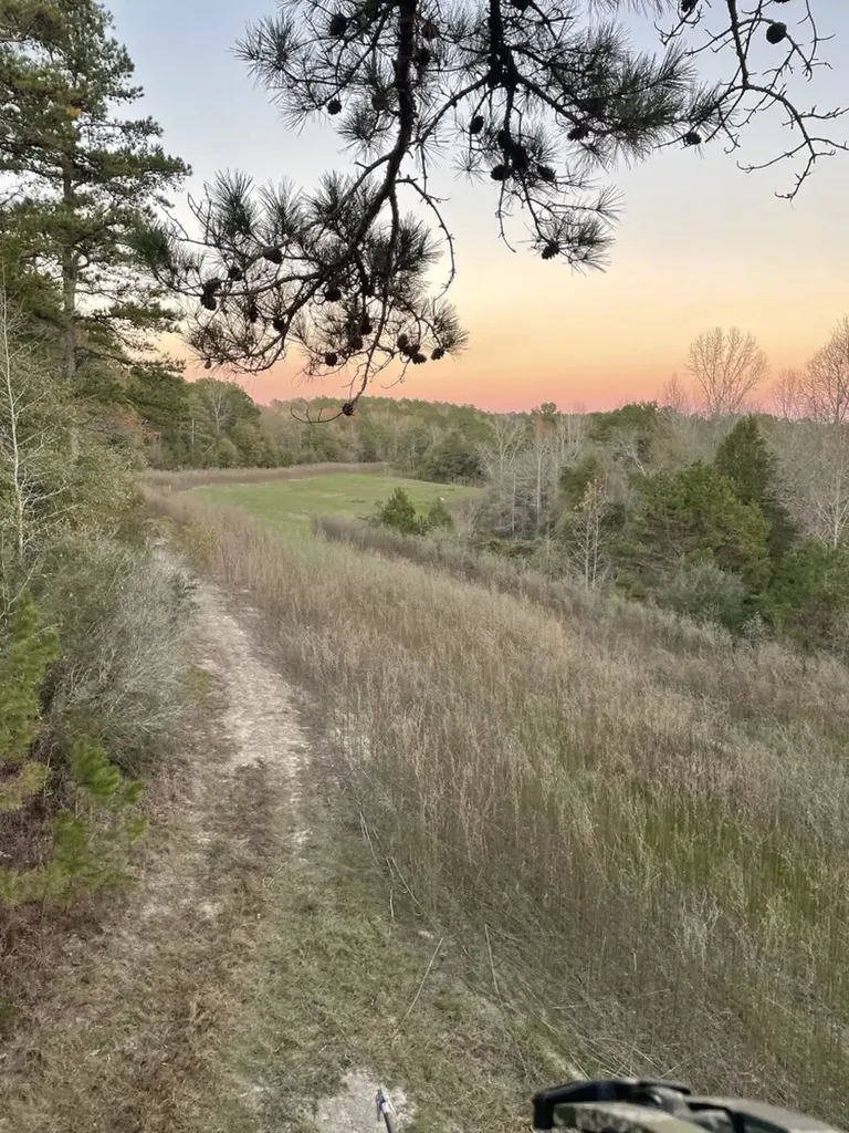 0 Highway Rose Hill Dozier AL 36028