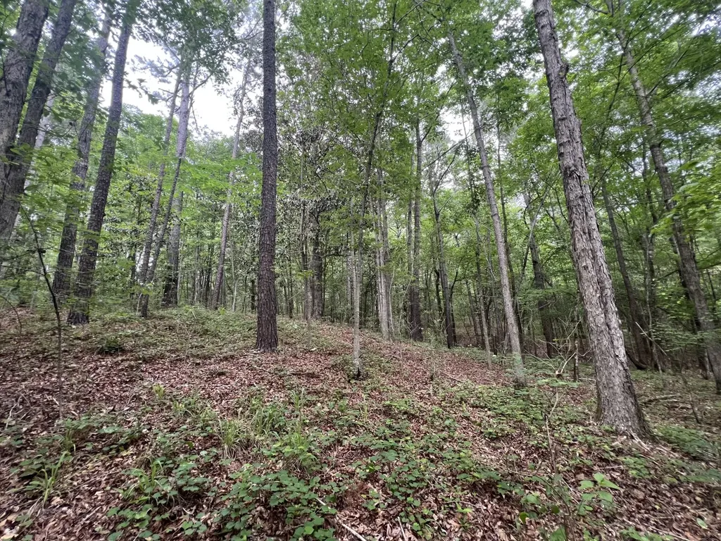 0 Highway Rose Hill Dozier AL 36028