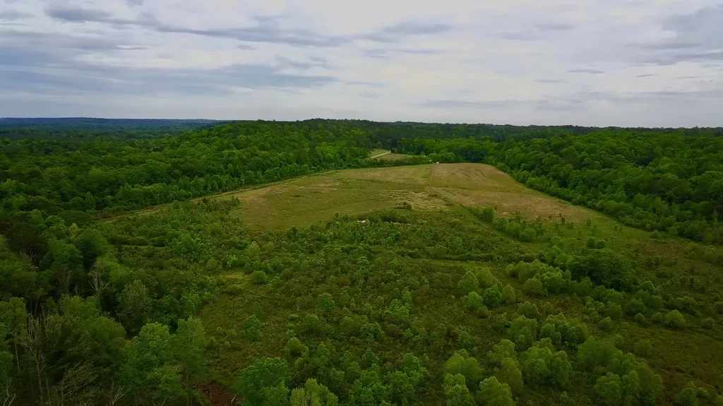 0 Highway Rose Hill Dozier AL 36028