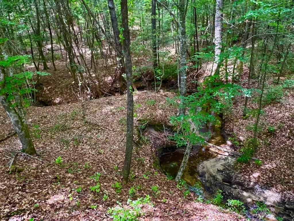 0 Highway Rose Hill Dozier AL 36028