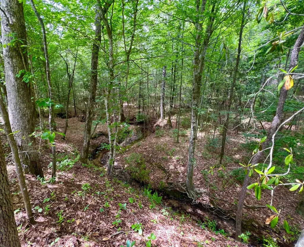 0 Highway Rose Hill Dozier AL 36028