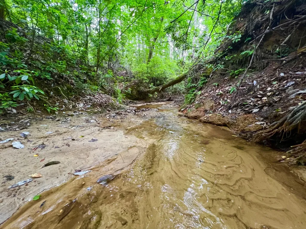 0 Highway Rose Hill Dozier AL 36028