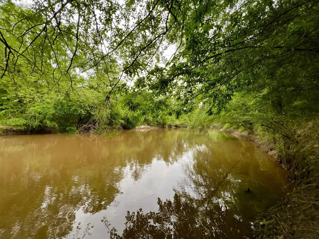 0 Highway Rose Hill Dozier AL 36028