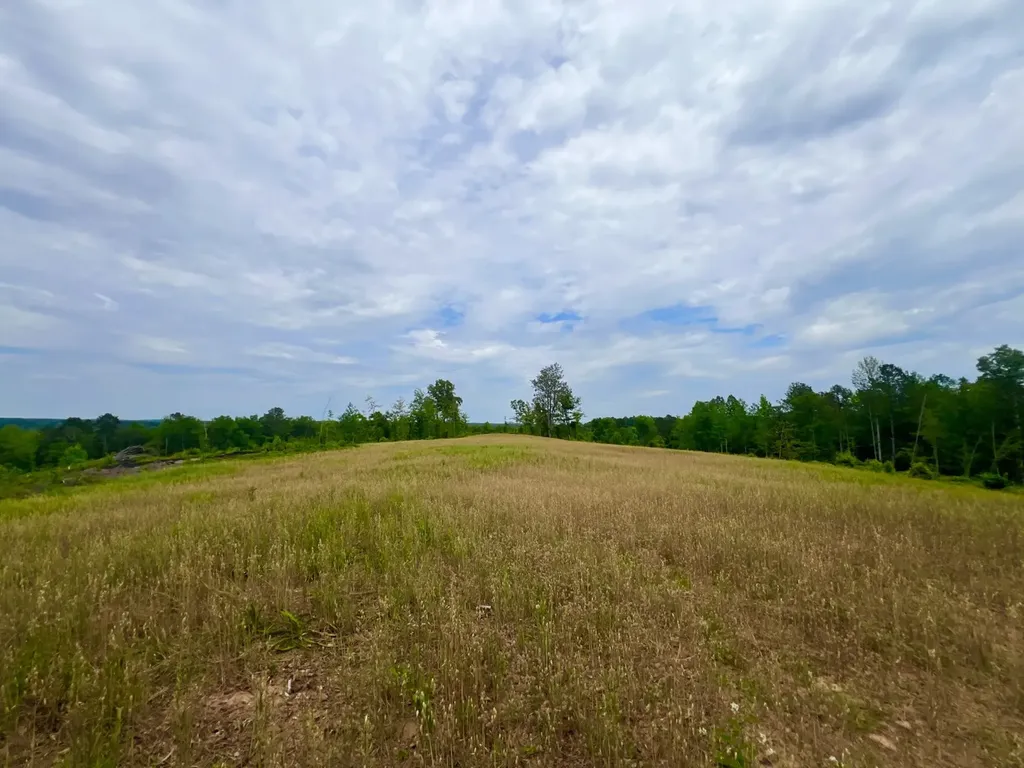 0 Highway Rose Hill Dozier AL 36028