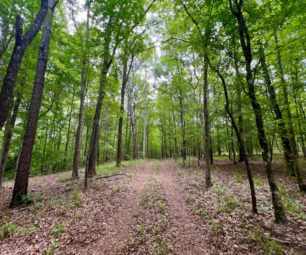 0 Highway Rose Hill Dozier AL 36028