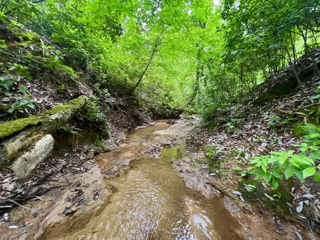 0 Highway Rose Hill Dozier AL 36028