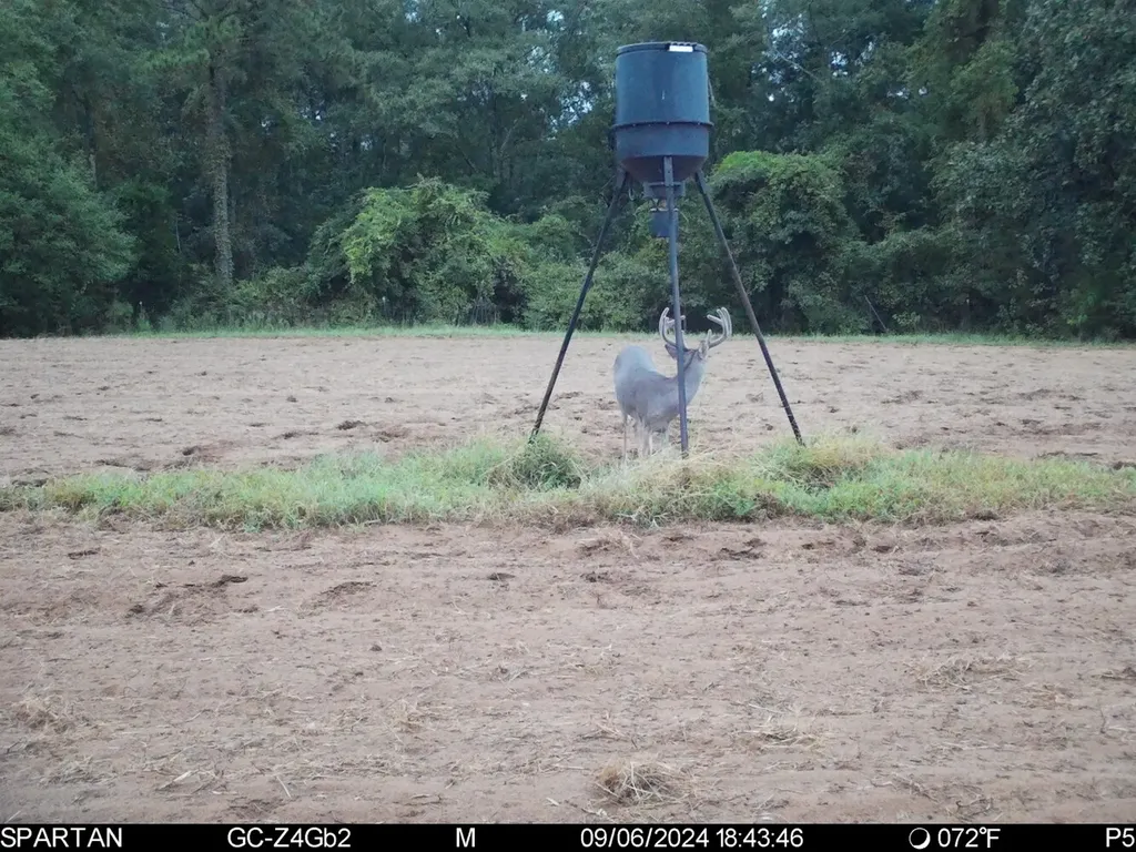 0 Highway Rose Hill Dozier AL 36028