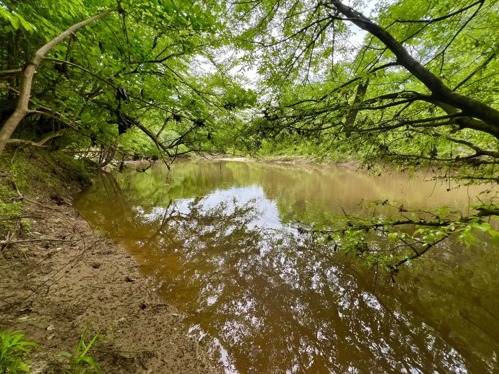 0 Highway Rose Hill Dozier AL 36028