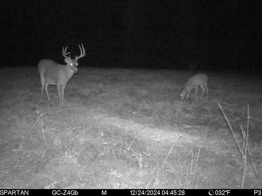 0 Highway Rose Hill Dozier AL 36028